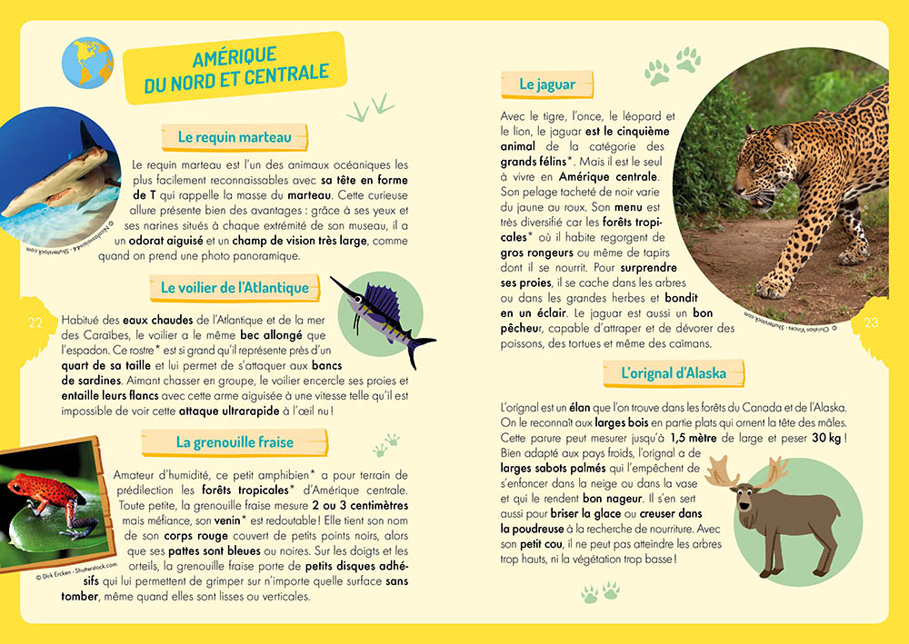 À La Découverte Des Animaux Du Monde