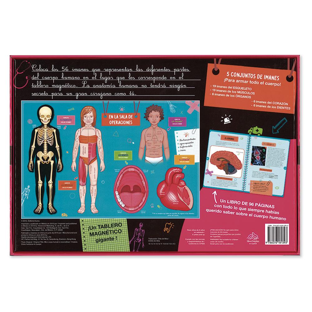 Tablero Magnético. Descubriendo Mi Cuerpo