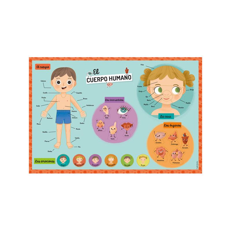 Mi Estuche De Imanes: Cuerpo Humano