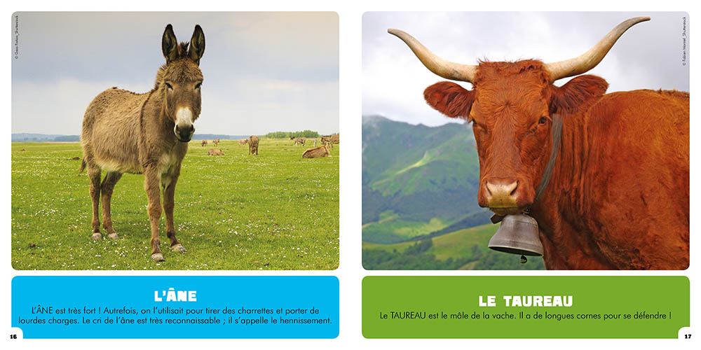 Mon Premier Imagier De La Ferme