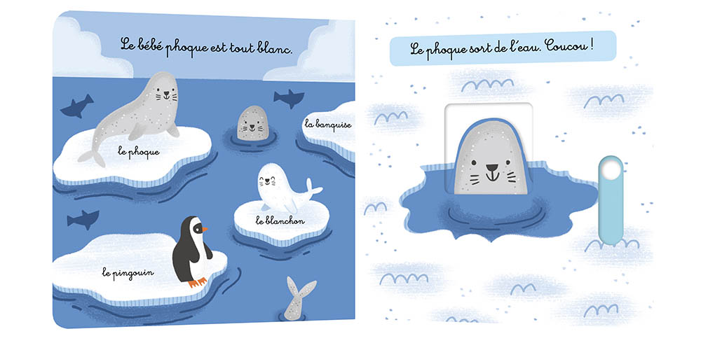 Mon Anim'agier - Les Animaux Du Froid
