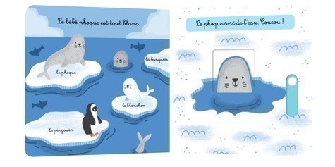 Artic Animals Artic Animals