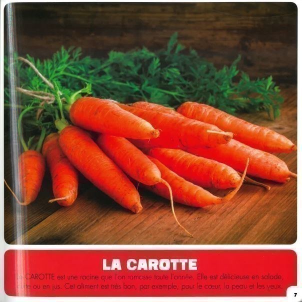 Mes Premiers Aliments Mes Premiers Aliments