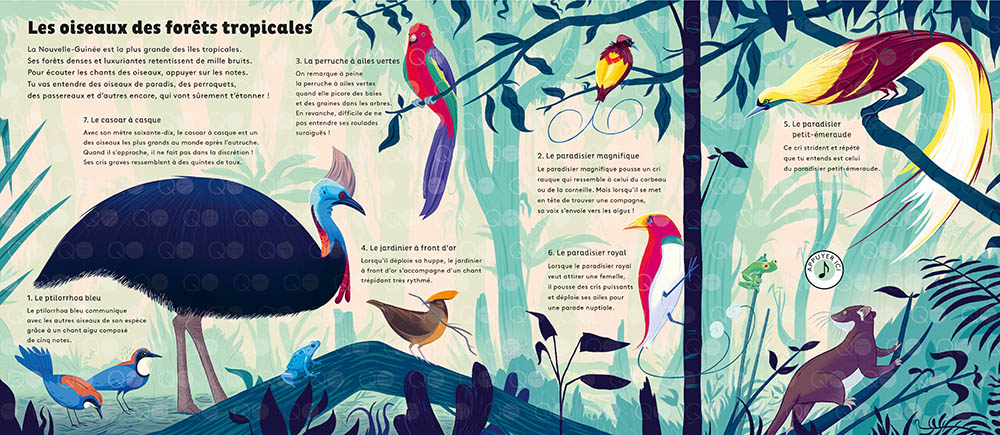 LE MONDE DES OISEAUX