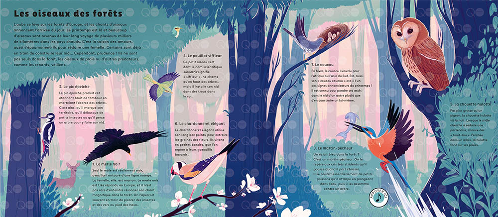 LE MONDE DES OISEAUX