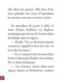 MES PREMIERES ENQUETES T9 (SUR LES TRACES DE LA LICORNE)