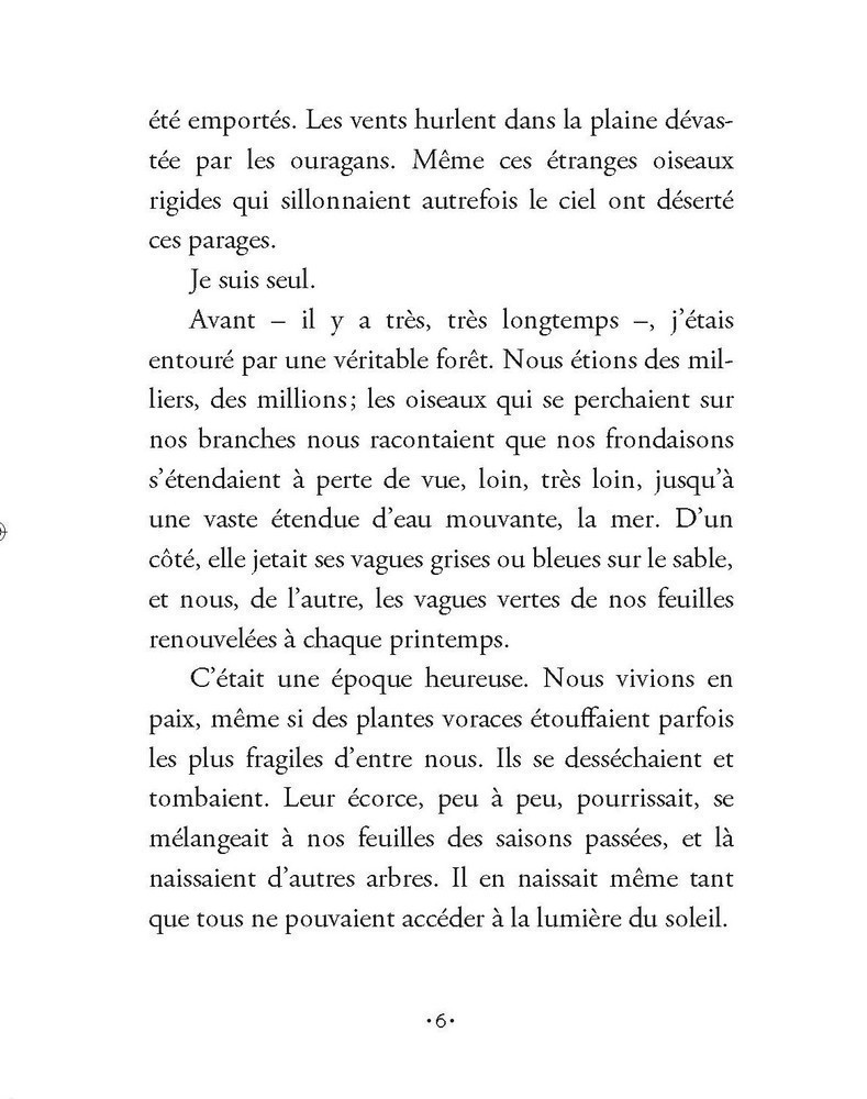 Au Coeur De La Forêt