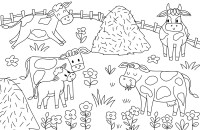 MES GRANDS COLORIAGES - LA FERME