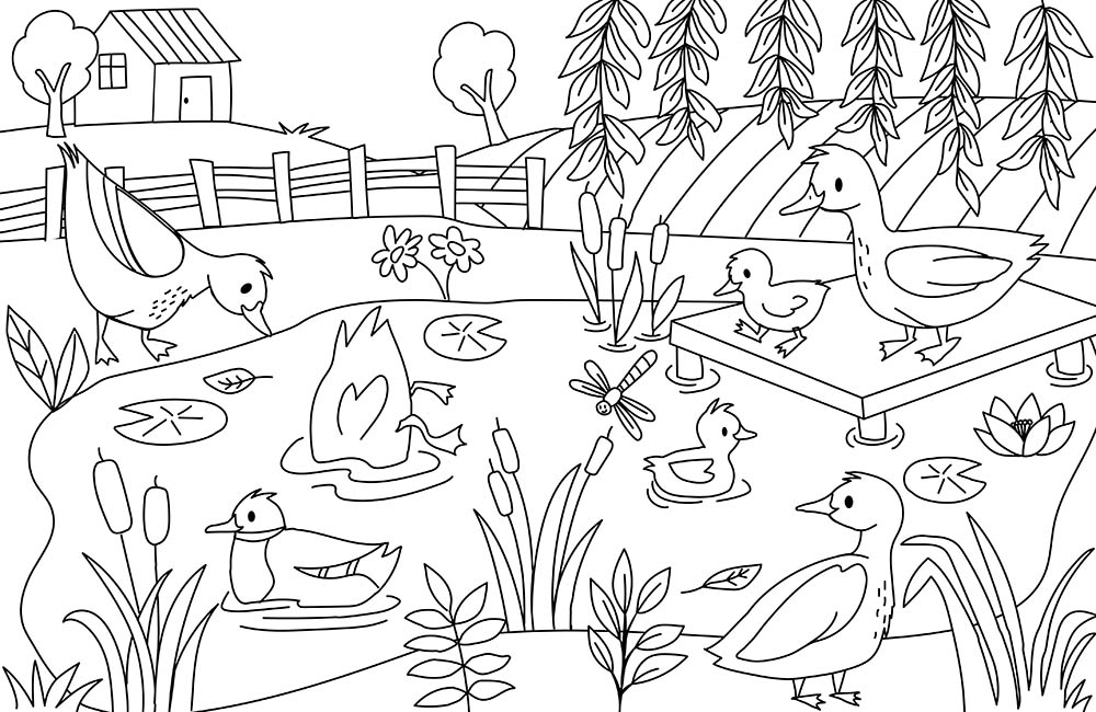 The Farm