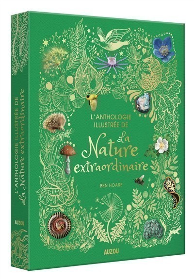 L L
