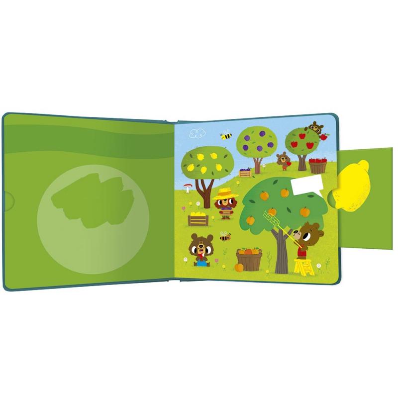 Busca Y Encuentra Los Olores. Las Frutas