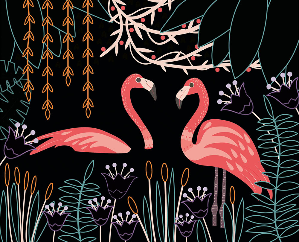 Mes Cartes À Gratter - Oiseaux Fantastiques