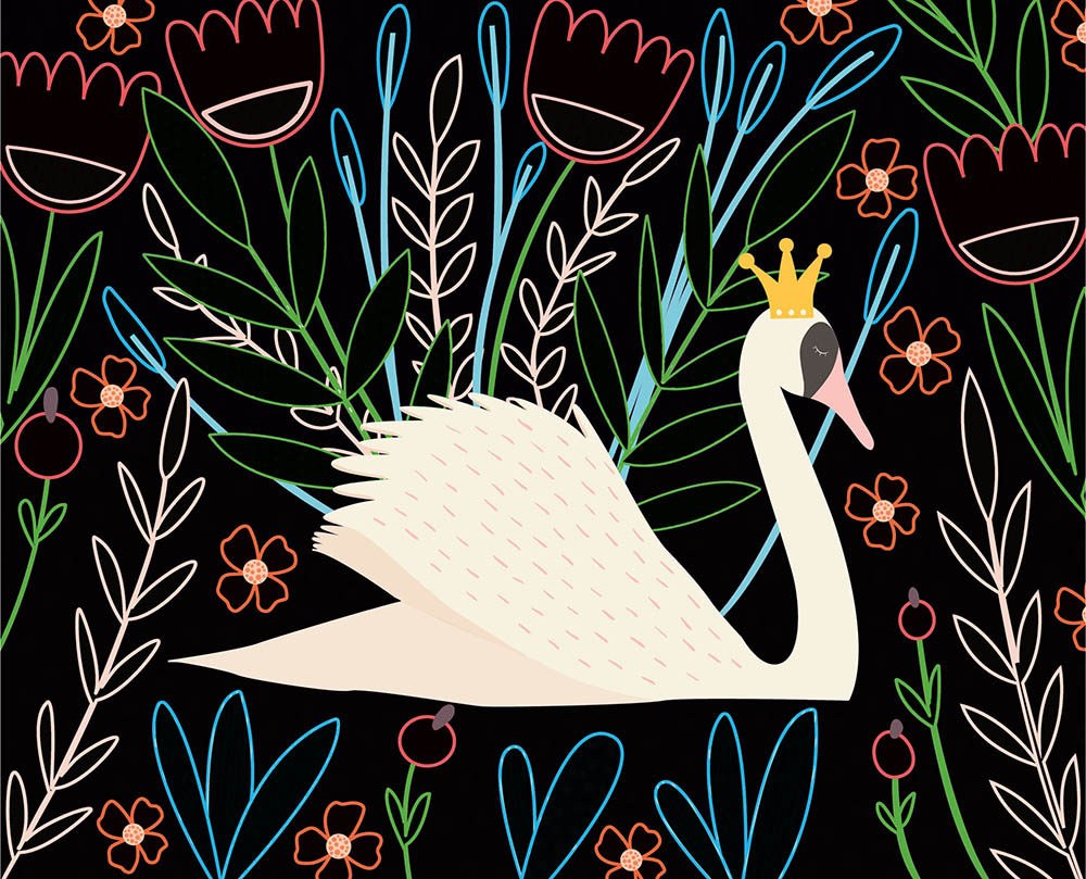 Mes Cartes À Gratter - Oiseaux Fantastiques