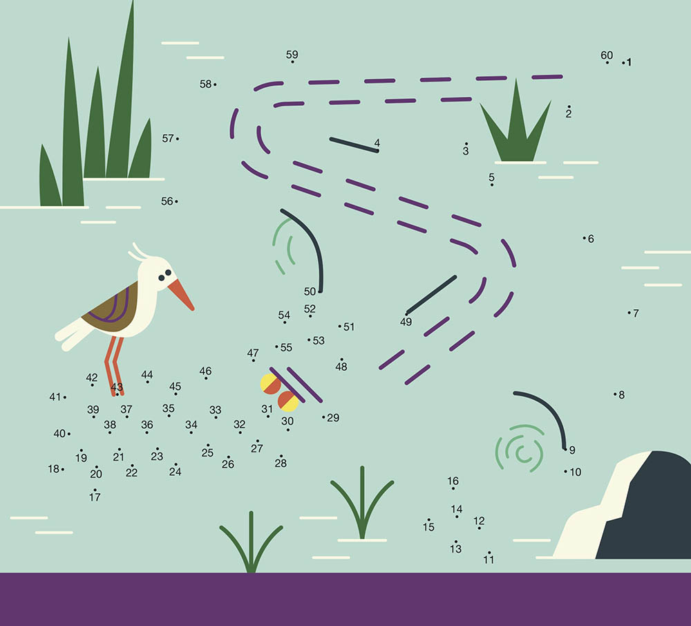 20 P'tits Jeux Chez Les Animaux