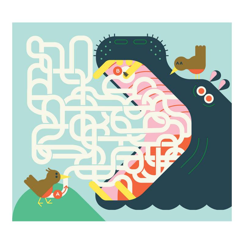 20 Laberintos En El Corazón De La Selva. Mi Estuche De Juegos