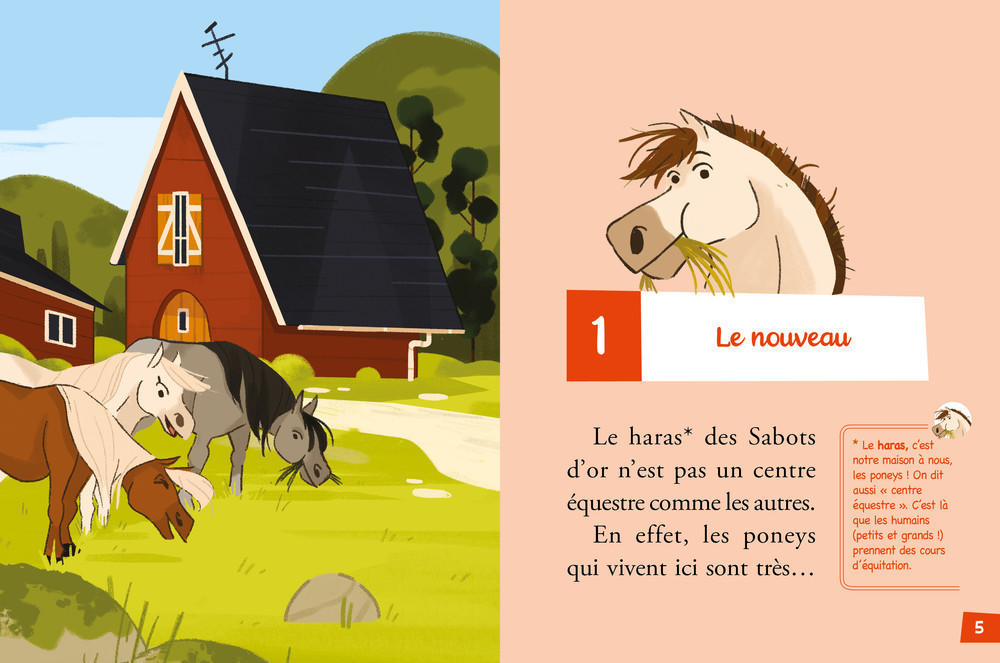 BIENVENUE AU PONEY CLUB T1 (LE NOUVEAU)