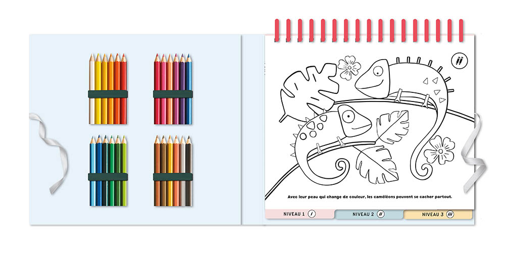 50 Animal Scenes To Colour