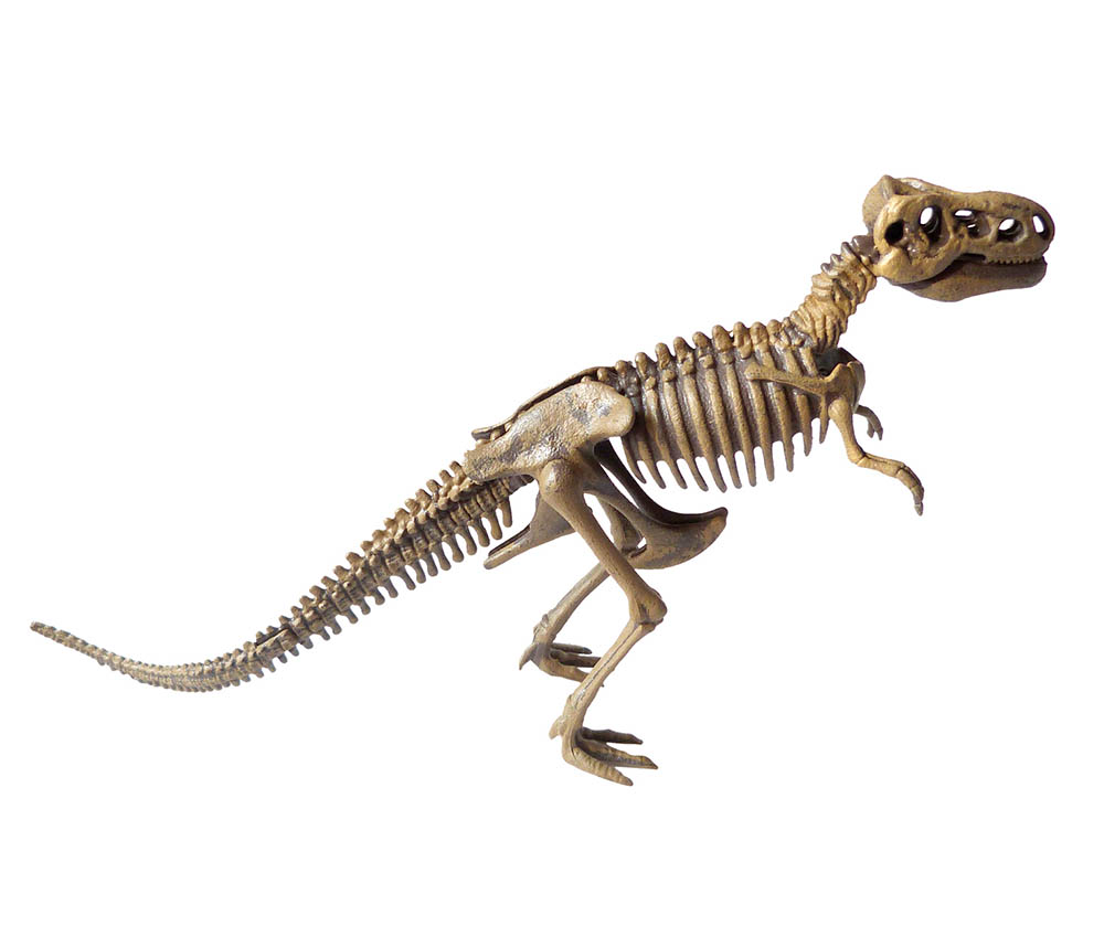 MON COFFRET DE CHERCHEUR DE DINO MON COFFRET DE CHERCHEUR DE DINO