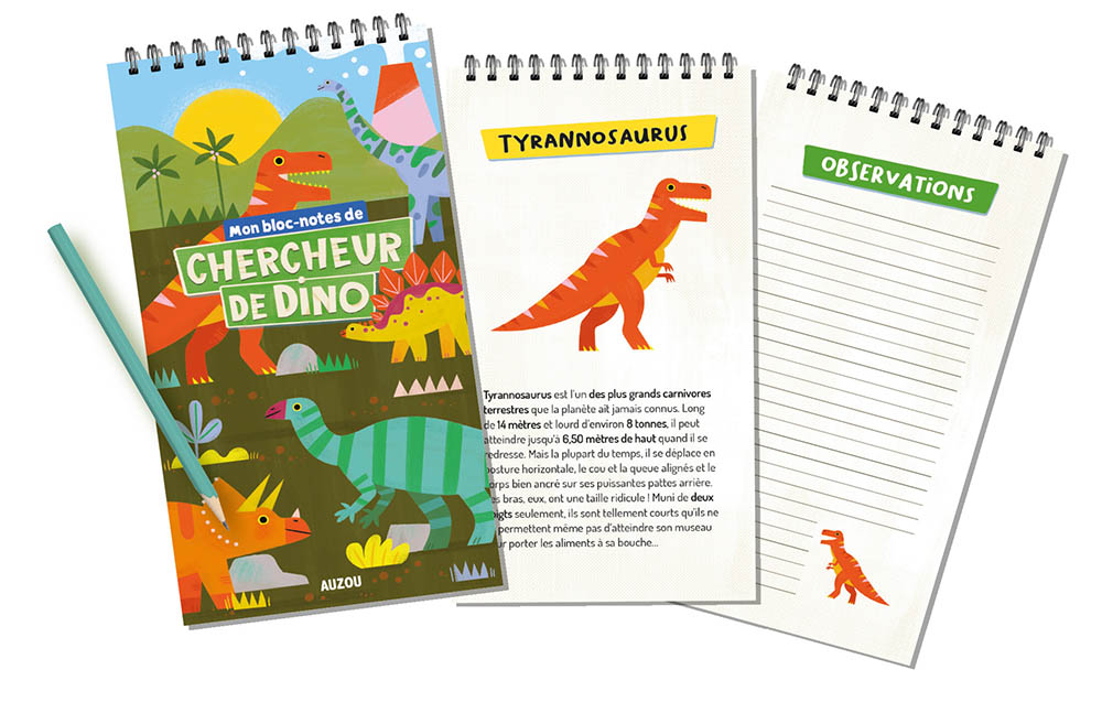 MON COFFRET DE CHERCHEUR DE DINO MON COFFRET DE CHERCHEUR DE DINO