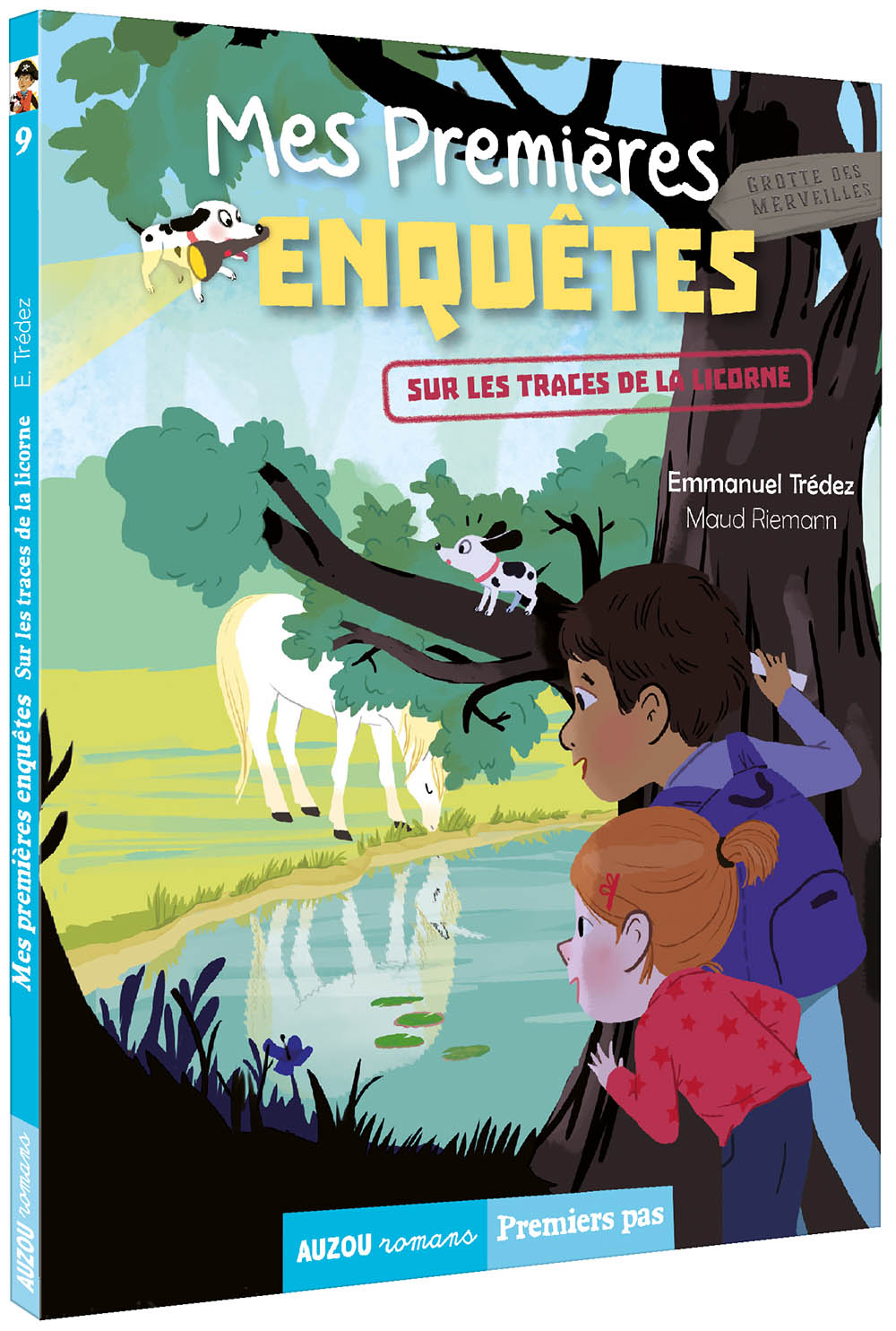MES PREMIERES ENQUETES