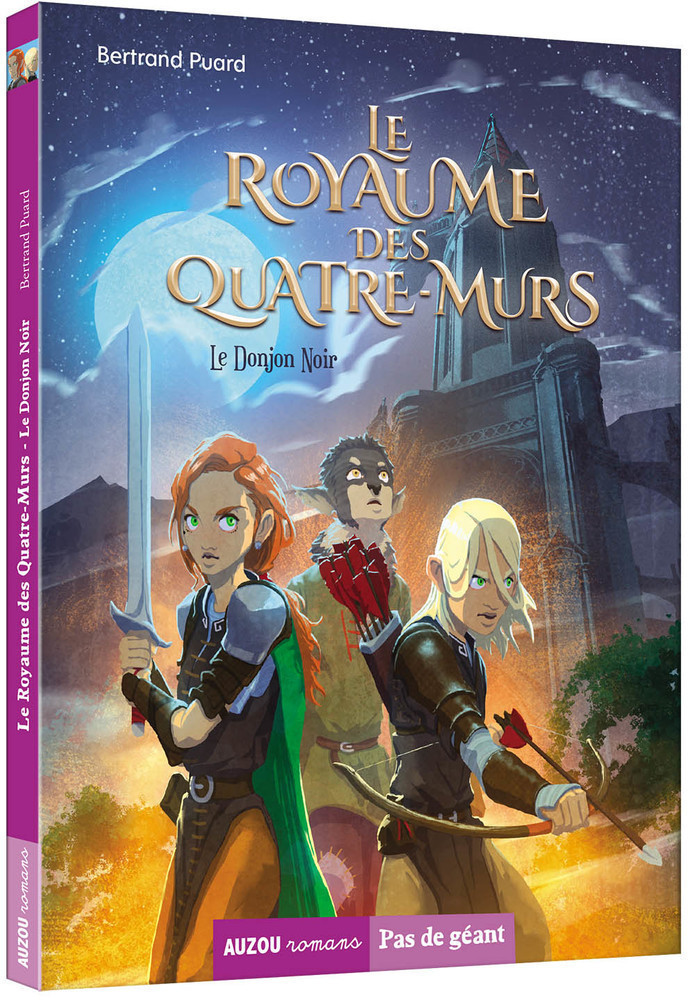 Le Royaume Des Quatre-Murs Tome 1 - Le Donjon Noir
