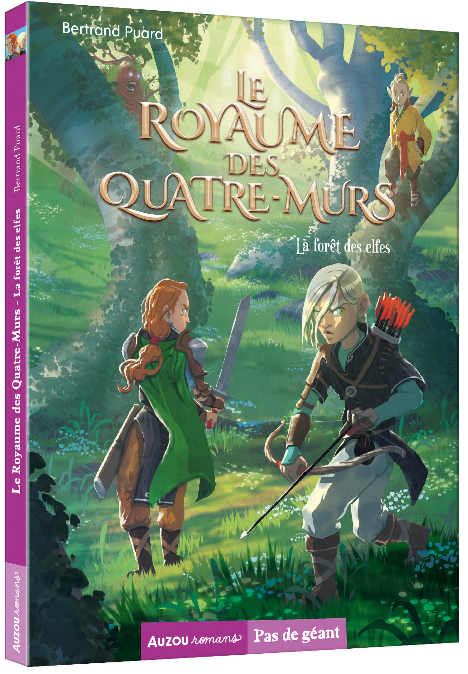Le Royaume Des Quatre-Murs Tome 2 - La Forêt Des Elfes