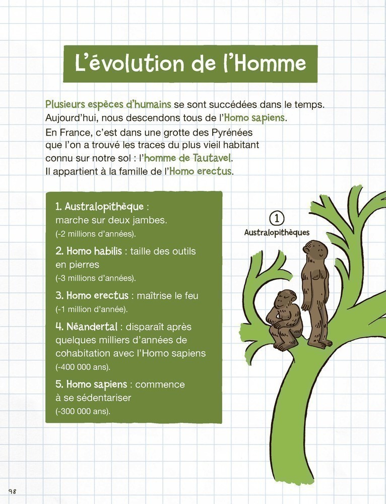 Les Oiseaux De Terreur