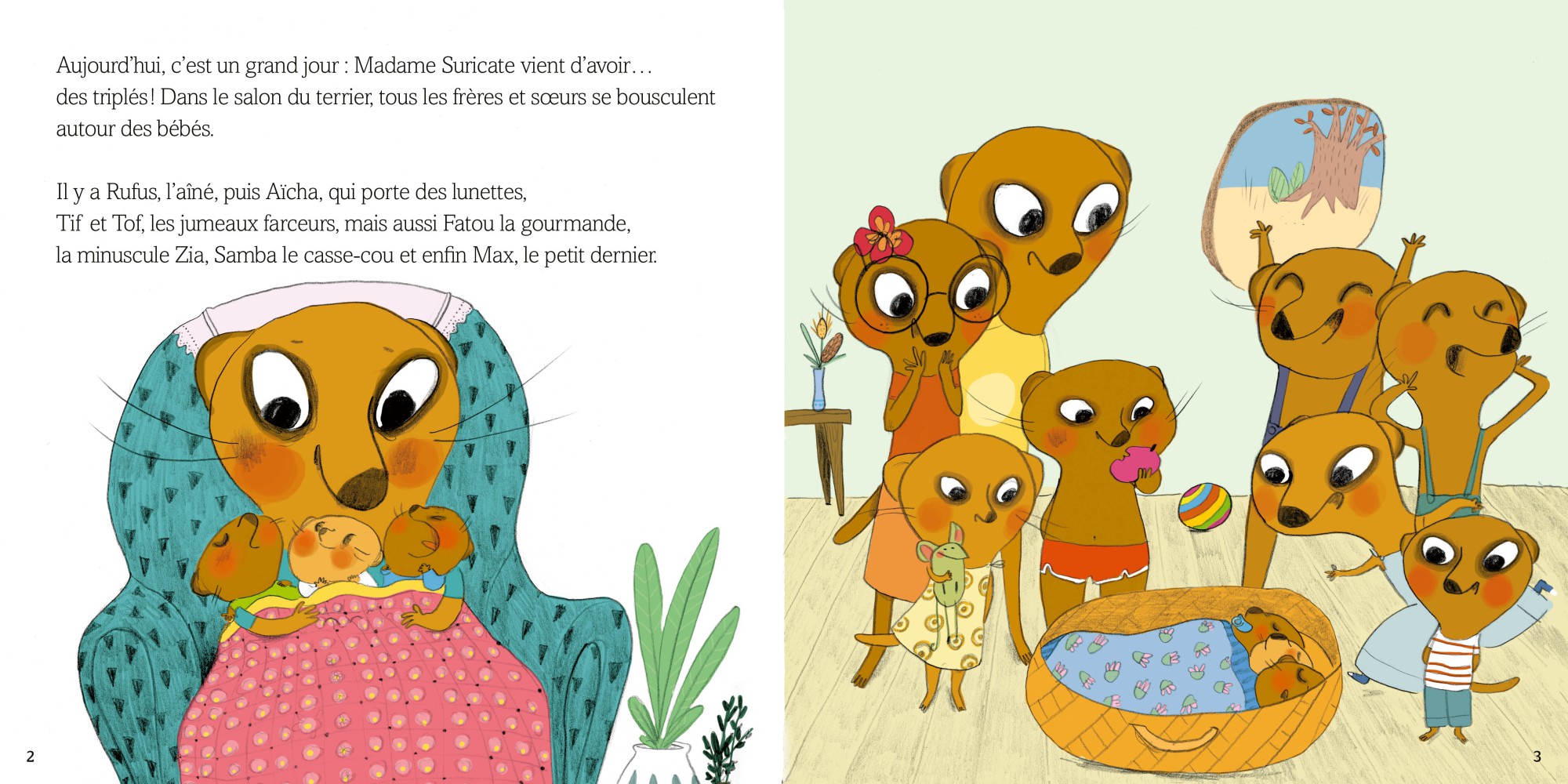La famille suricate déménage