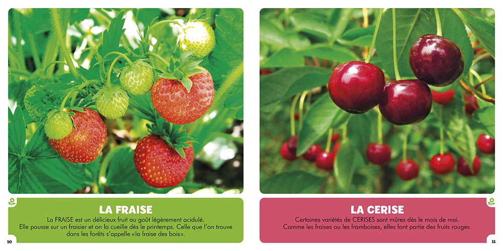 Les Fruits Et Les Légumes