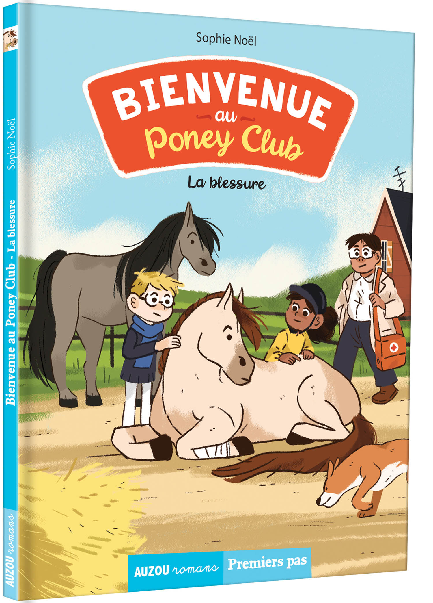 Bienvenue Au Poney-Club Tome 3 - La Blessure