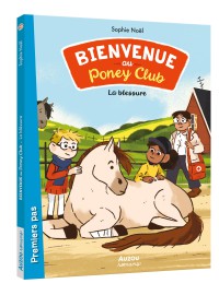 3. The Accident