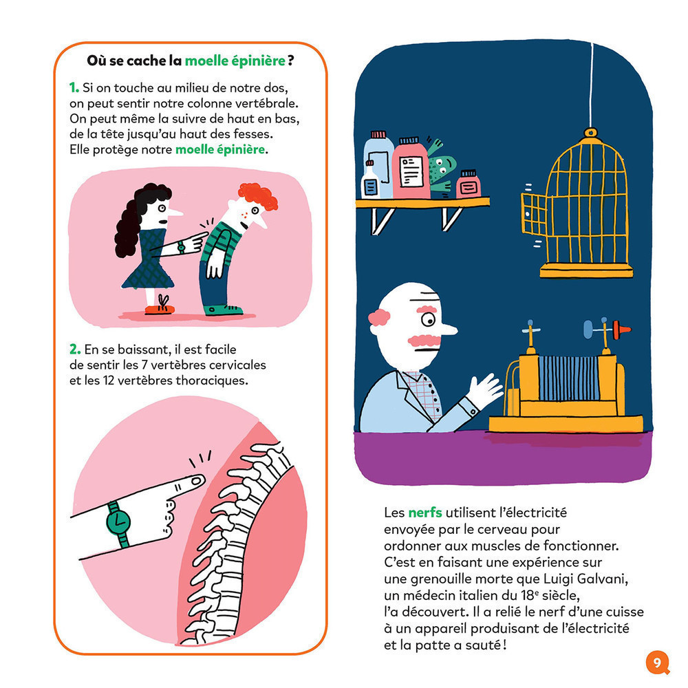 LE CERVEAU