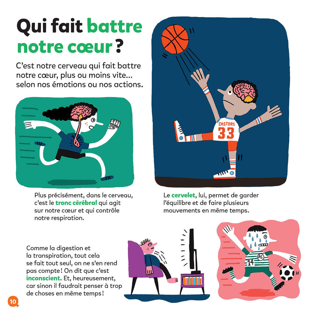 LE CERVEAU