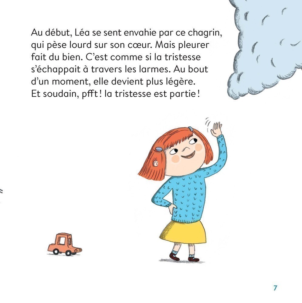 LES EMOTIONS