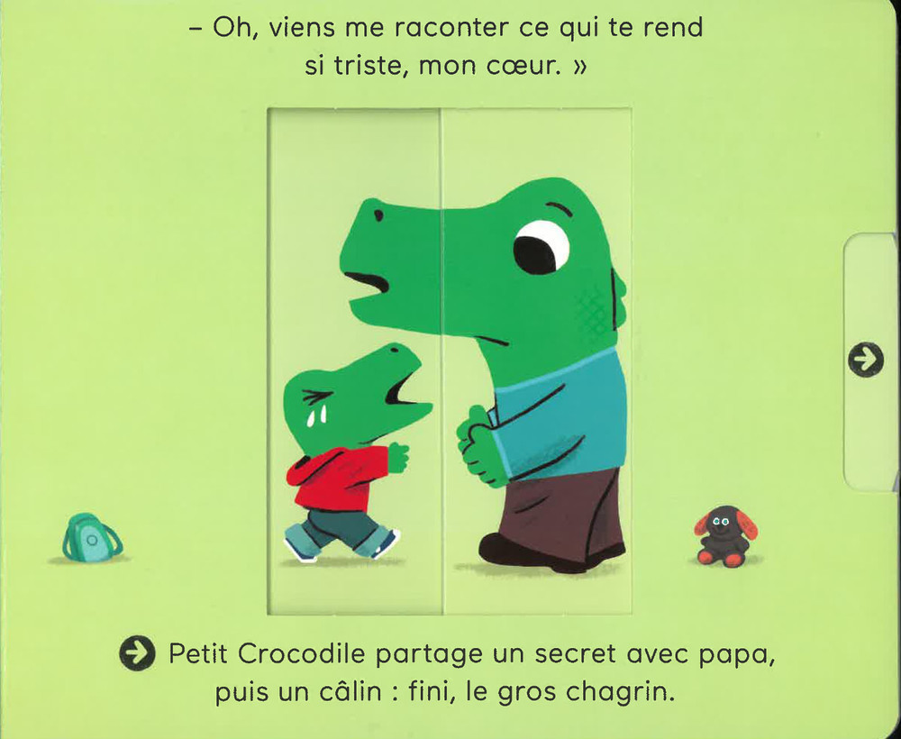 LES EMOTIONS LES EMOTIONS