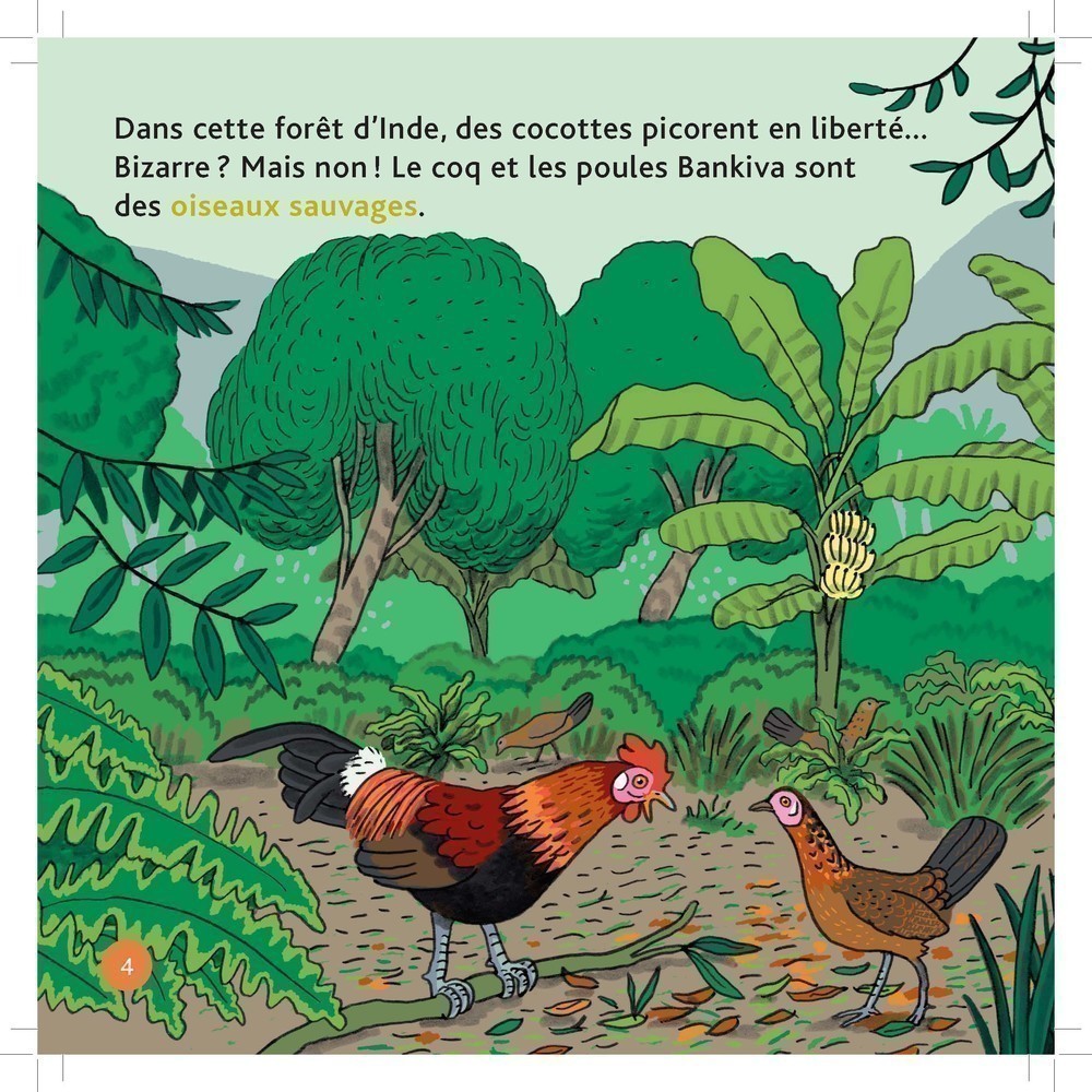 LA POULE LA POULE