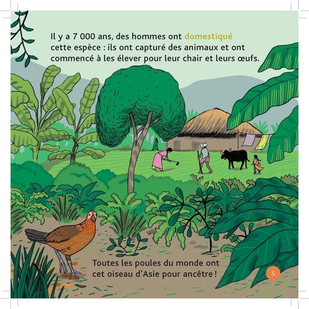 LA POULE LA POULE