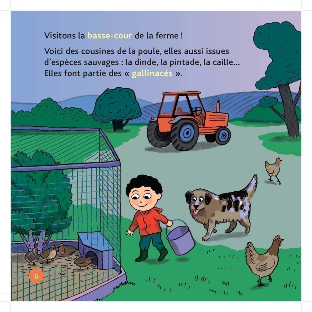 LA POULE LA POULE