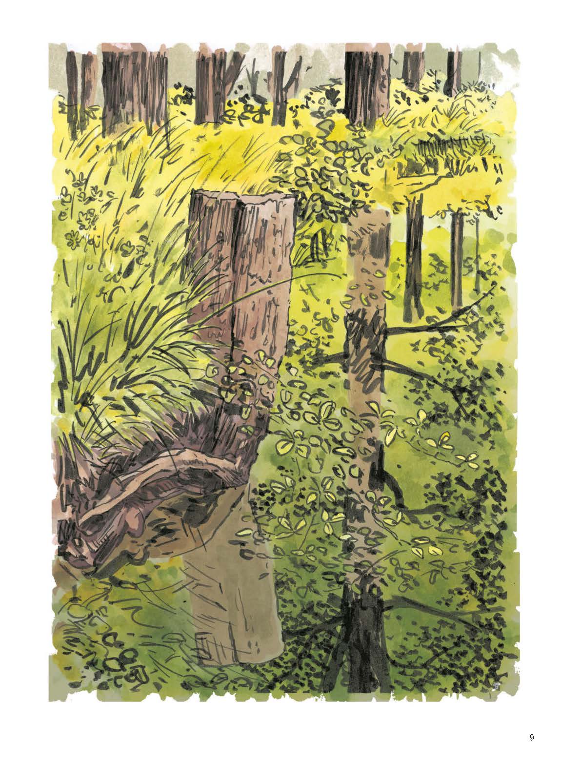 WALDEN OU LA VIE DANS LES BOIS