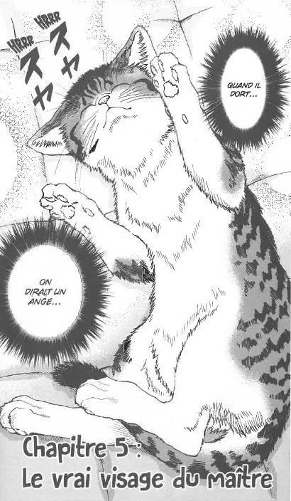 FELIN POUR L FELIN POUR L