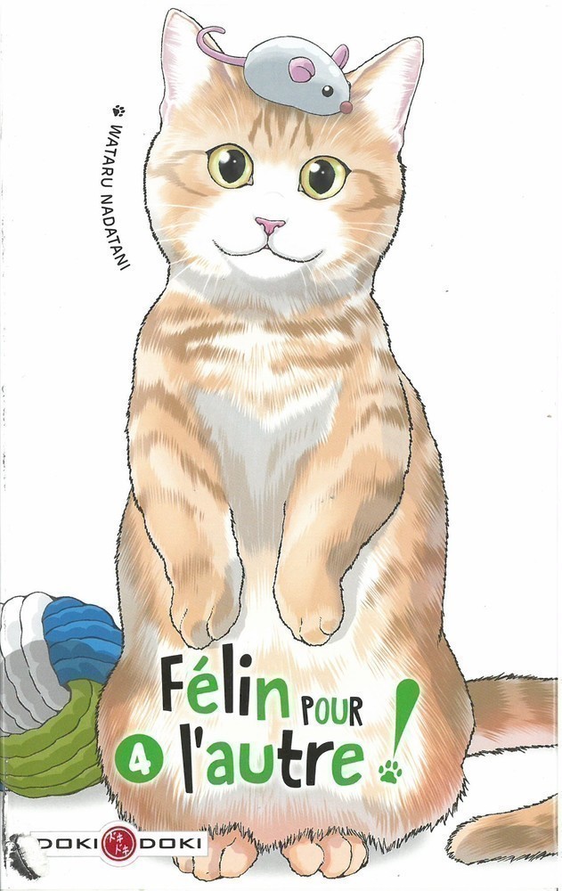 FELIN POUR L