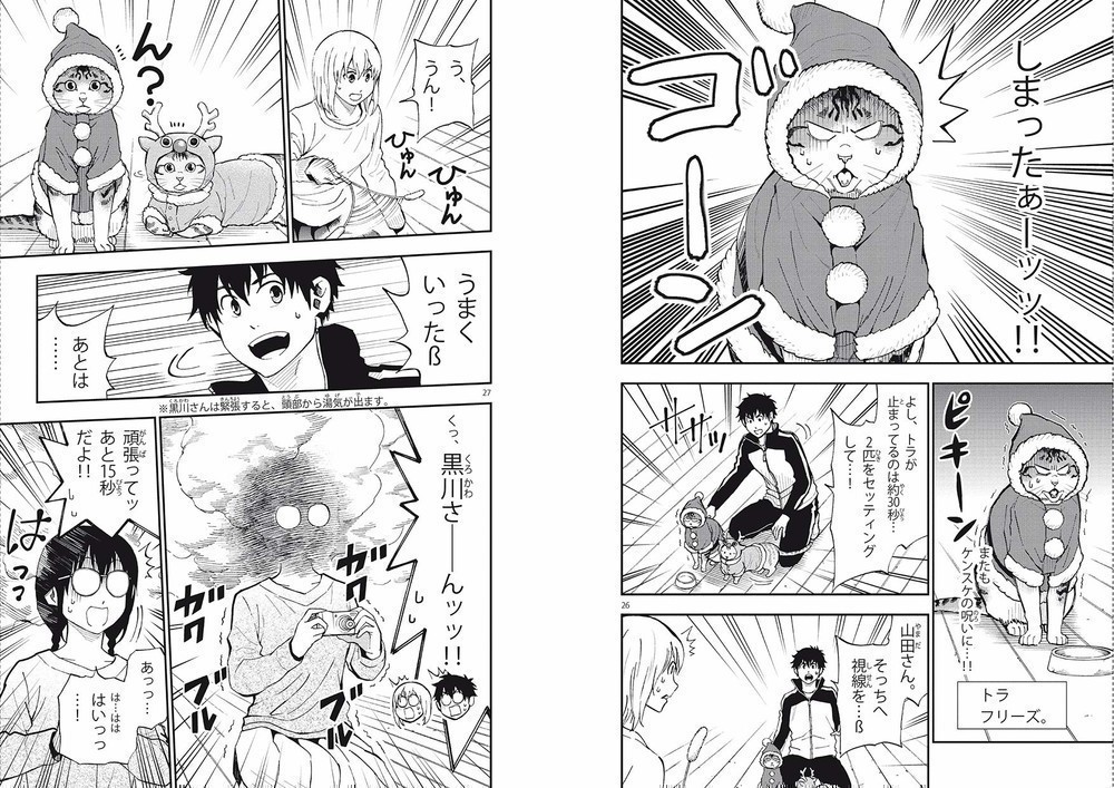 FELIN POUR L FELIN POUR L