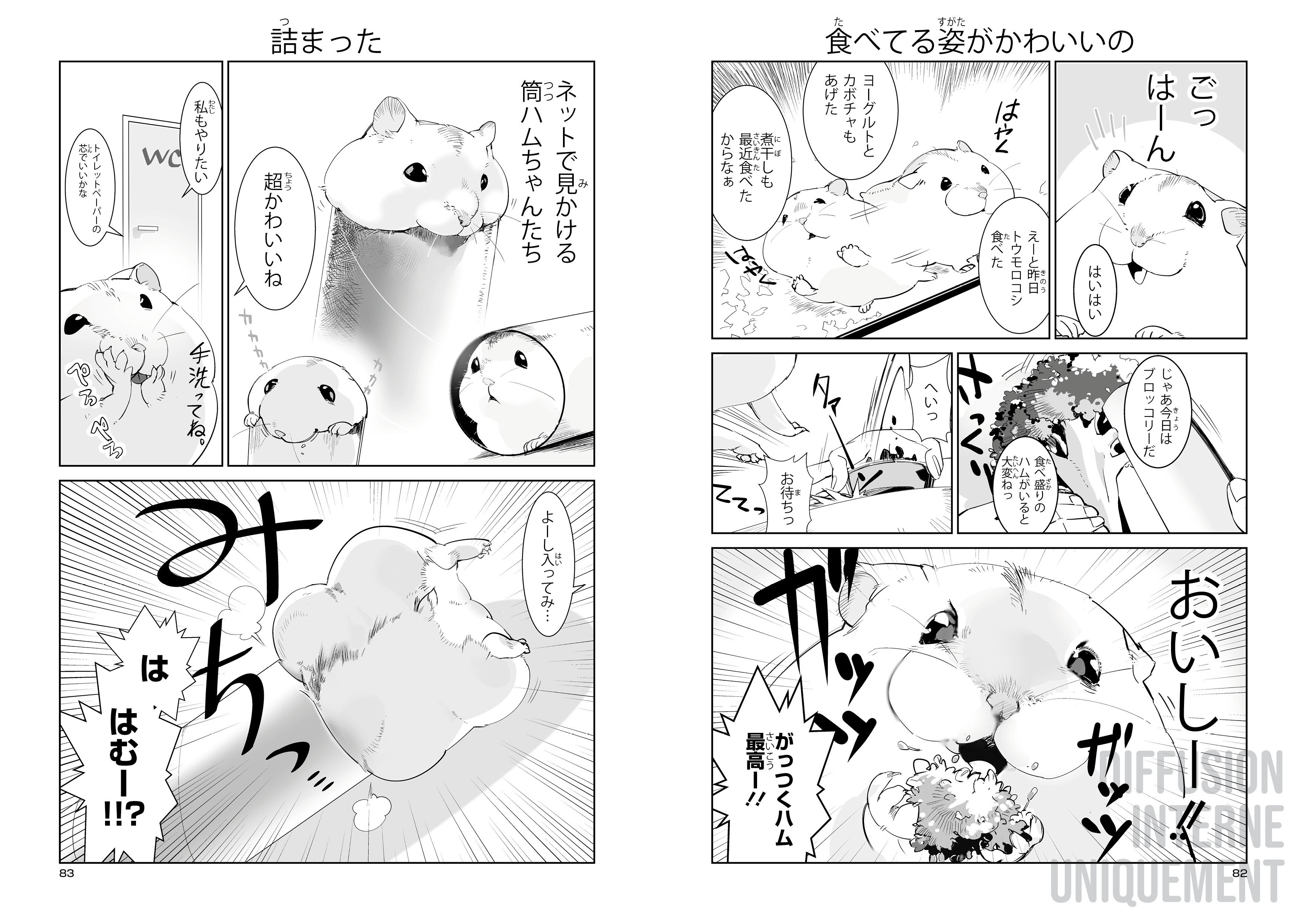 HAMSTER ET BOULE DE GOMME T1 
