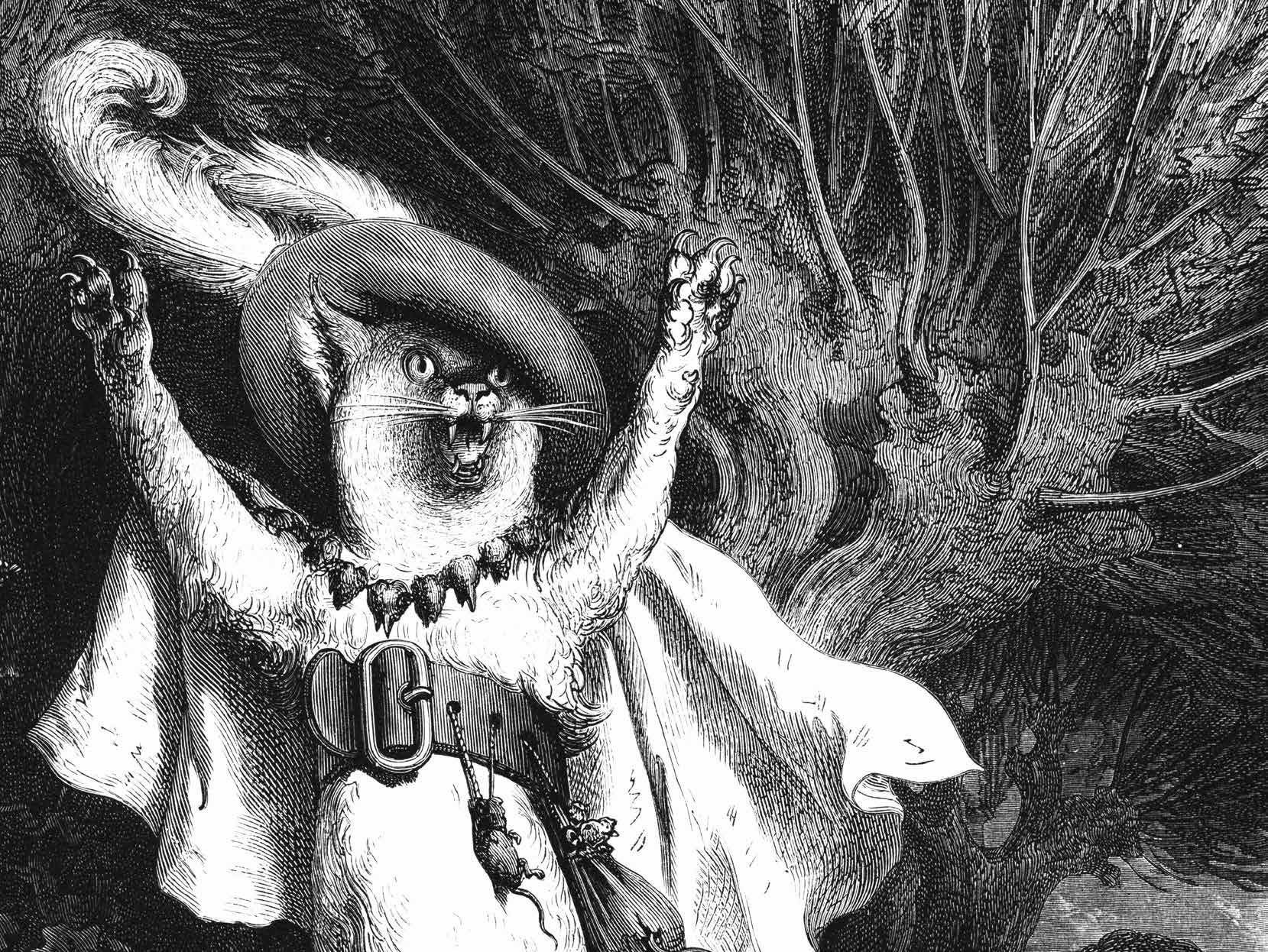 APPELEZ-MOI MAITRE CHAT