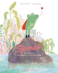 Voir les images