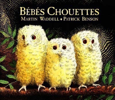 BEBES CHOUETTES BEBES CHOUETTES