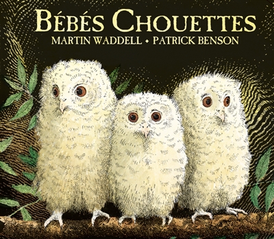 BEBES CHOUETTES BEBES CHOUETTES
