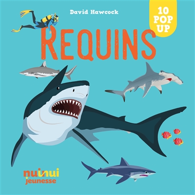 REQUINS : 10 POP-UP