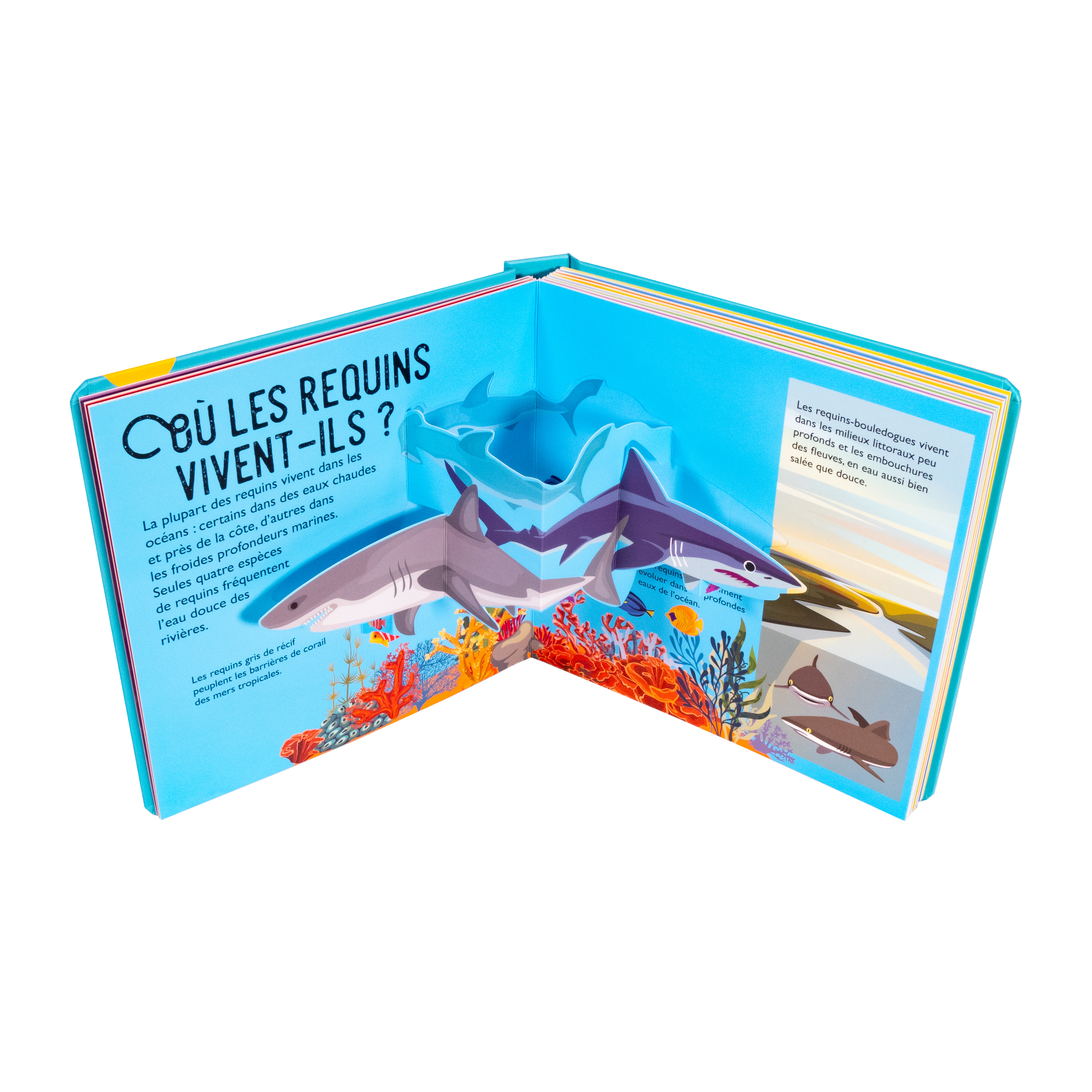 REQUINS : 10 POP-UP