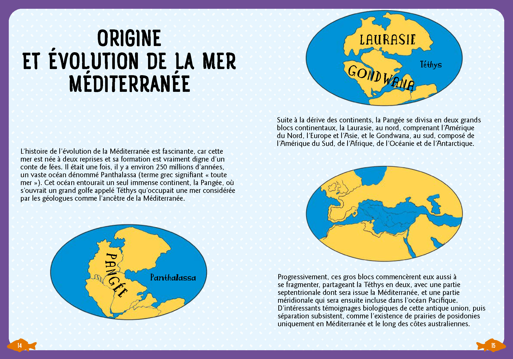 GUIDE DES POISSONS DE LA MEDITERRANEE